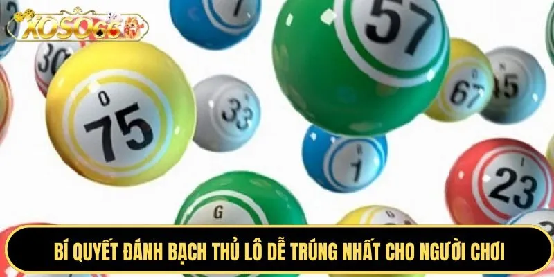 Một Số Kinh Nghiệm Đánh Bạch Thủ Lô Từ Cao Thủ Xoso66