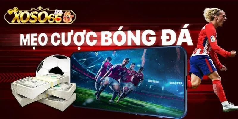 Mẹo cược bóng đá xoso66: Ưu tiên lựa chọn những giải đấu lớn